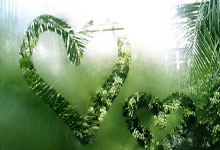 泗洪縣蔚藍(lán)生態(tài)農(nóng)業(yè)有限公司成立，注冊資本10000萬人民幣:生態(tài)農(nóng)業(yè)
