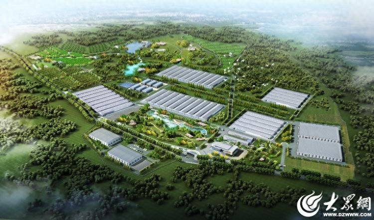 臨朐中新振榮:智慧畜牧賦能生態(tài)農(nóng)業(yè)發(fā)展實踐:生態(tài)農(nóng)業(yè)