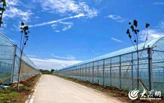 臨朐中新振榮:智慧畜牧賦能生態(tài)農(nóng)業(yè)發(fā)展實踐:生態(tài)農(nóng)業(yè)