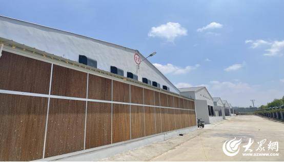 臨朐中新振榮:智慧畜牧賦能生態(tài)農(nóng)業(yè)發(fā)展實踐:生態(tài)農(nóng)業(yè)