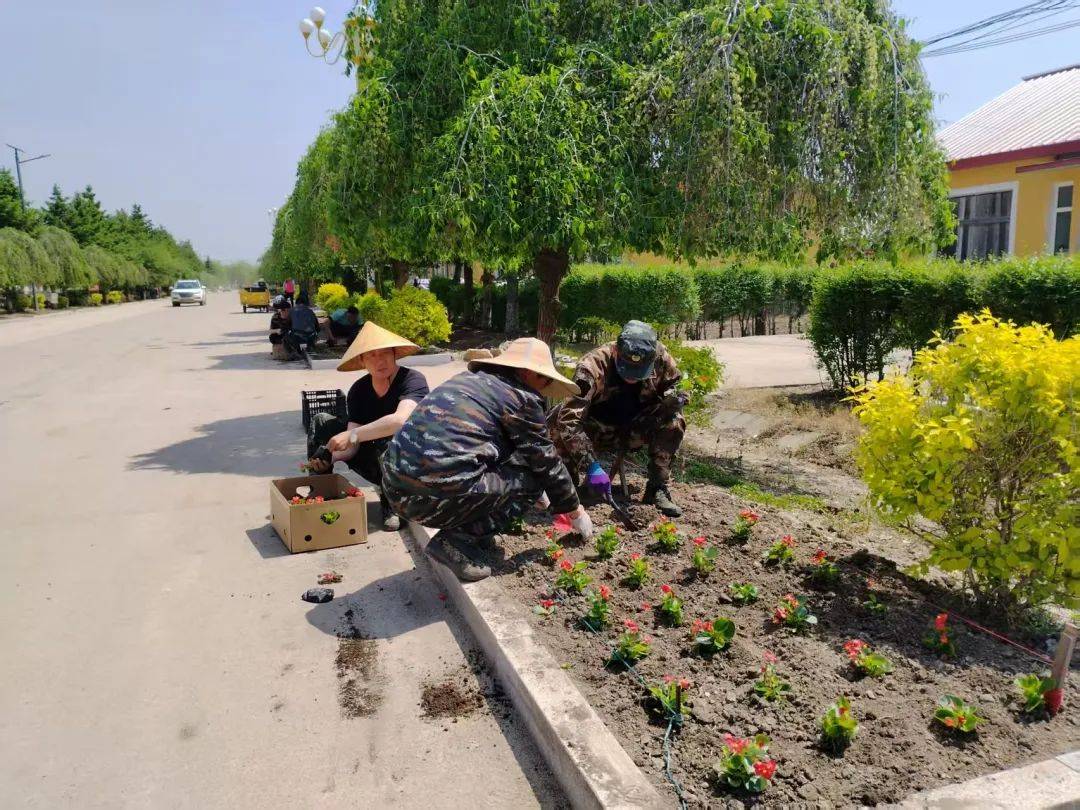 【生態(tài)立企】西平林場(chǎng)積極栽植花卉打造美麗林場(chǎng)新景觀:生態(tài)景觀